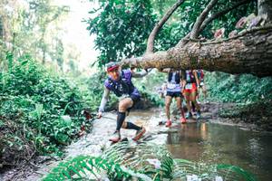 BIB: 
                            <button type="button" onclick="openModal(25464572)" class="btn btn-primary btn-sm float-right btn-popup" data-toggle="modal" data-target=".modal-high-quality">
                        <i class="fas fa-shopping-cart"></i> Add to Cart
                    </button>
                                            <button type="button" onclick="isThisMe(25464572, true)" class="btn btn-success btn-sm float-right btn-popup btn-isme hidden" data-toggle="tooltip" data-placement="bottom" title="นี่คือรูปของคุณใช่ไหม คลิกที่นี่เพื่อเอาเข้าอัลบั้ม">
                        <i class="fas fa-plus"></i> Add to album
                    </button>
                    <button type="button" onclick="isThisMe(25464572, false)" class="btn btn-warning btn-sm float-right btn-popup btn-isnotme hidden">
                        <i class="fas fa-ban"></i> Remove from album
                    </button>